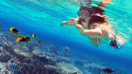 Flash Deal Stella Gardens Resort & Spa Makadi Bay