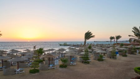 Sea Star Beau Rivage